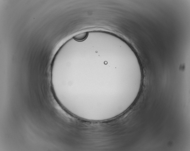 X0000113171516200909251405