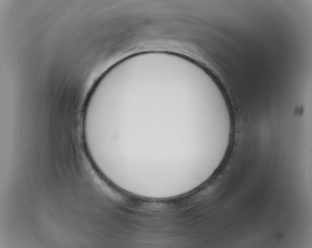 X0000113171517200909251405