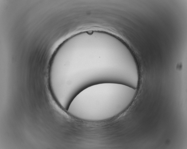 X0000113171518200909251405