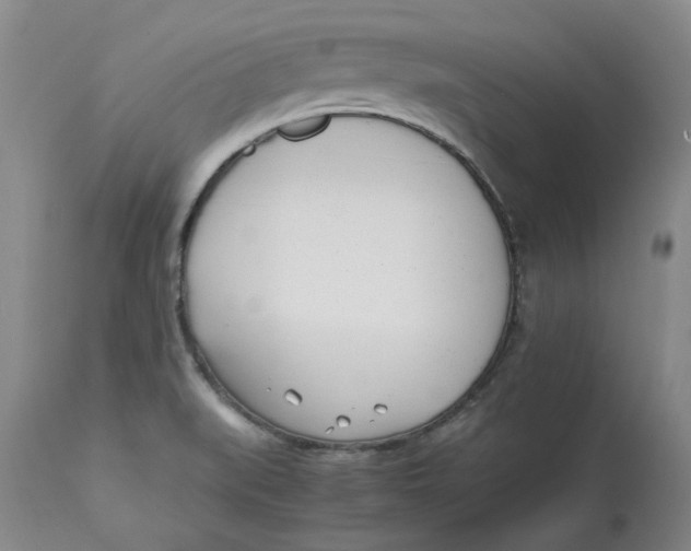 X0000113171519200909251405