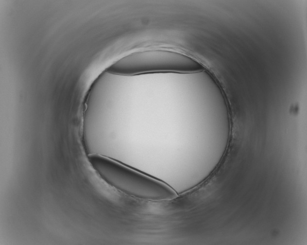 X0000113171520200909251405