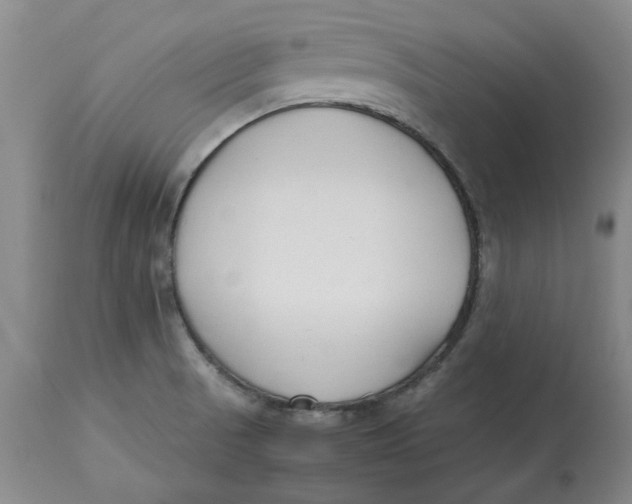 X0000113171521200909251405