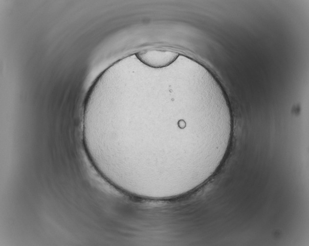 X0000113171522200909251405