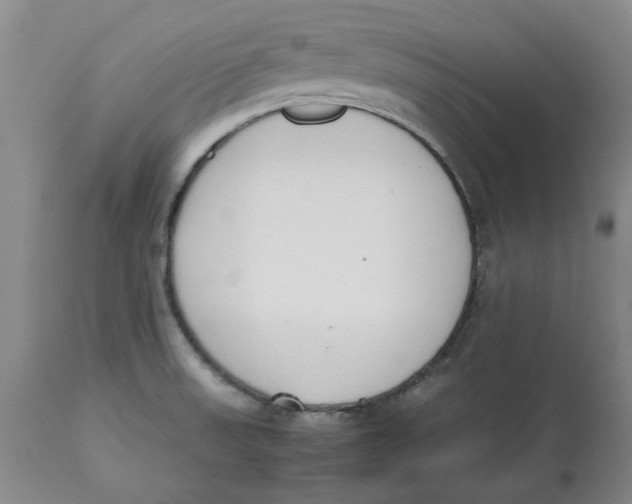 X0000113171523200909251405