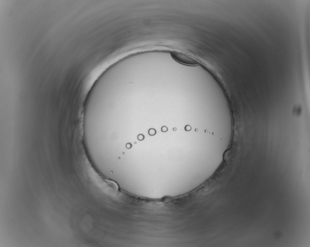 X0000113171524200909251405