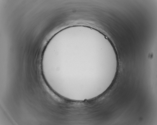 X0000113171525200909251405