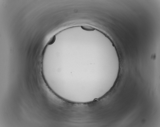 X0000113171526200909251405