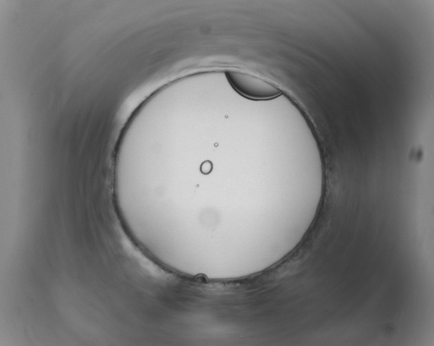 X0000113171527200909251405