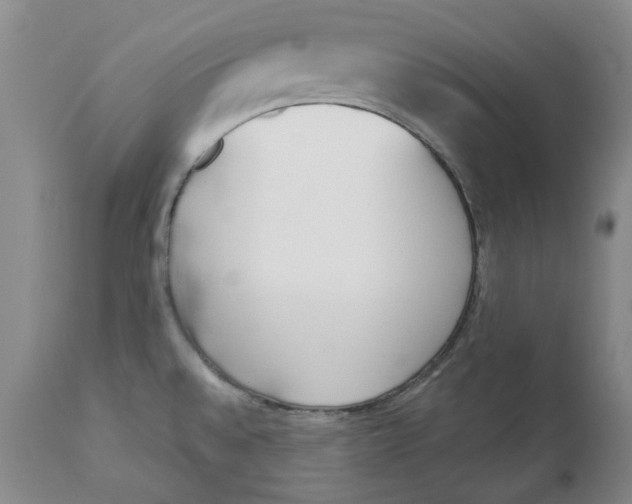 X0000113171528200909251405