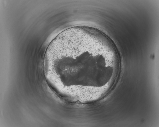 X0000113171529200909251405