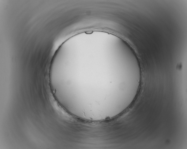 X0000113171530200909251405