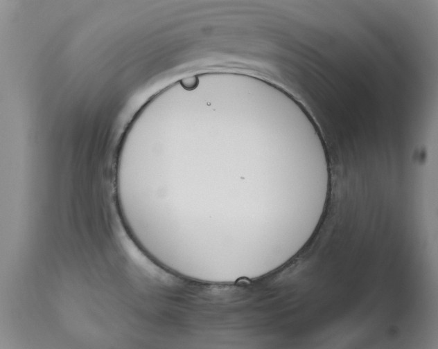 X0000113171531200909251405