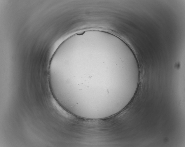 X0000113171532200909251405