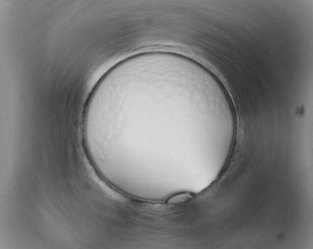 X0000113171533200909251405