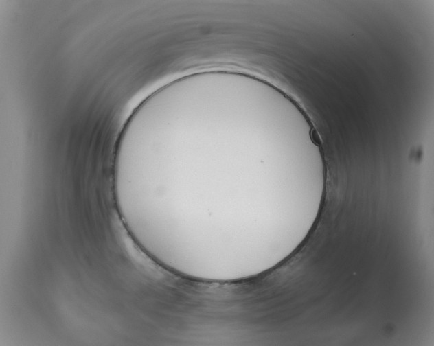 X0000113171534200909251405