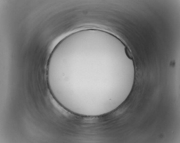 X0000113171535200909251405