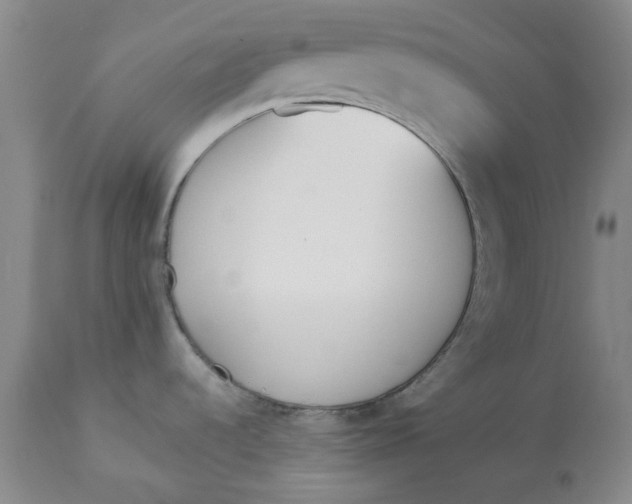 X0000113171536200909251405