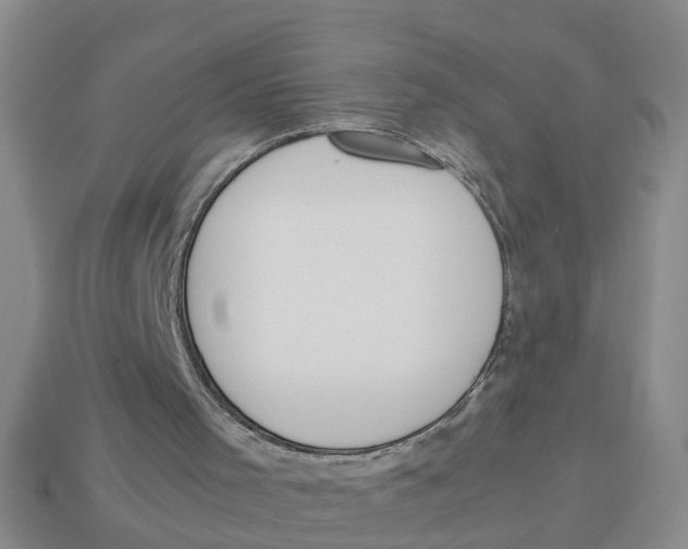 X0000113170001200910021532