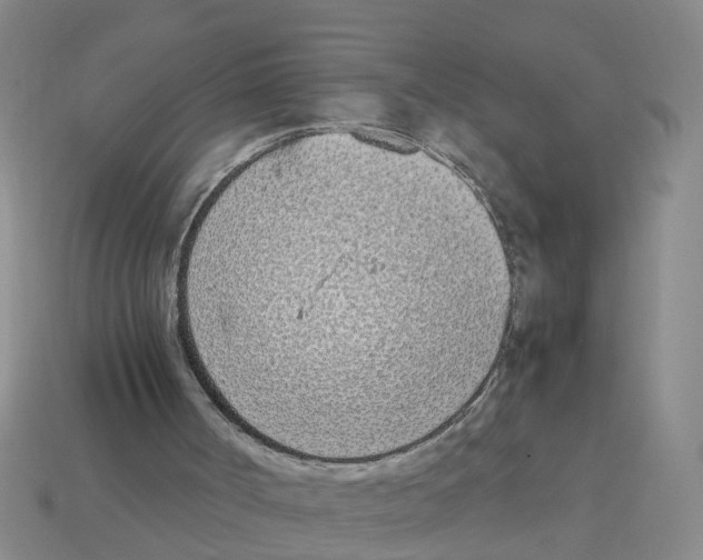 X0000113170002200910021532