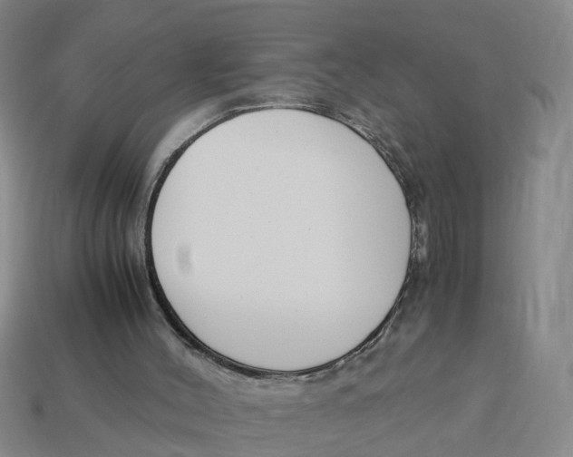 X0000113170004200910021532