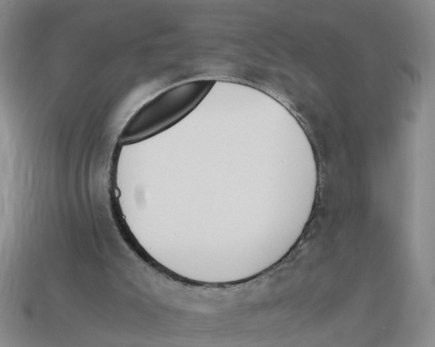 X0000113170007200910021532