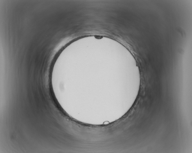 X0000113170008200910021532