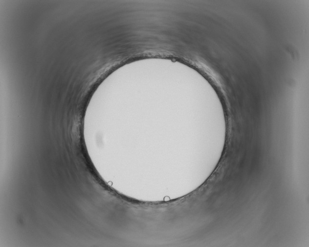 X0000113170009200910021532