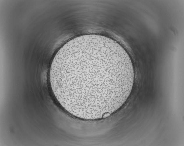 X0000113170010200910021532