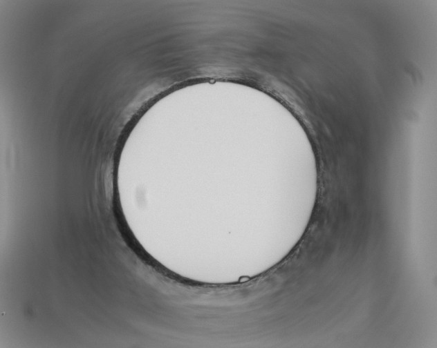 X0000113170011200910021532