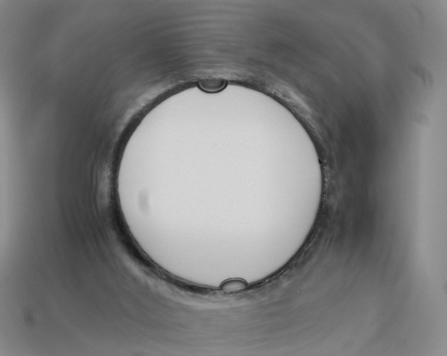 X0000113170012200910021532