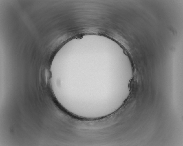 X0000113170013200910021532