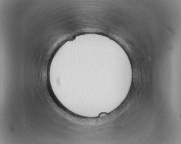 X0000113170015200910021532