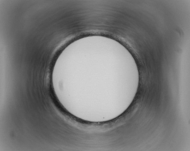 X0000113170016200910021532