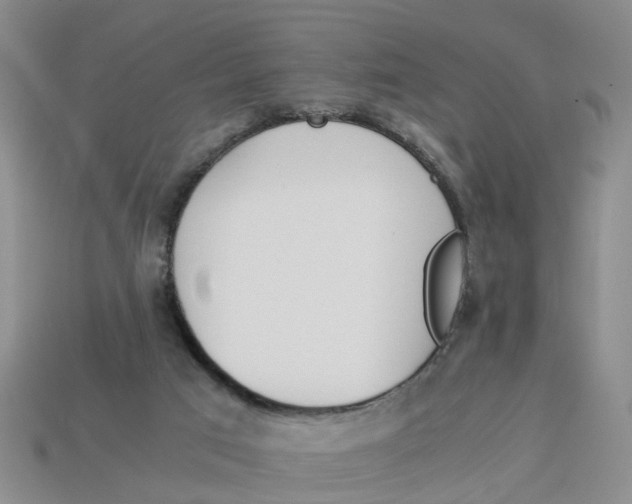 X0000113170017200910021532