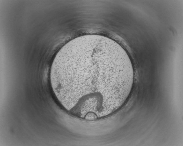 X0000113170018200910021532