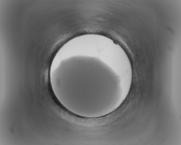 X0000113170019200910021532