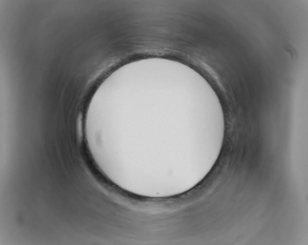 X0000113170020200910021532