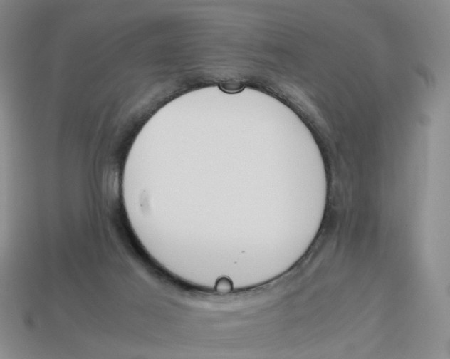 X0000113170021200910021532