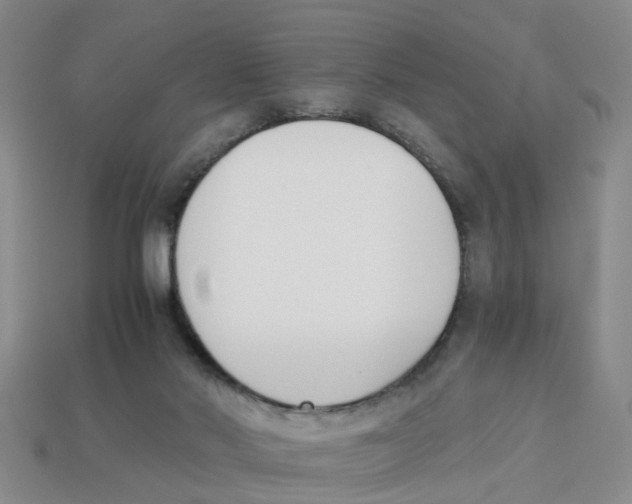 X0000113170022200910021532