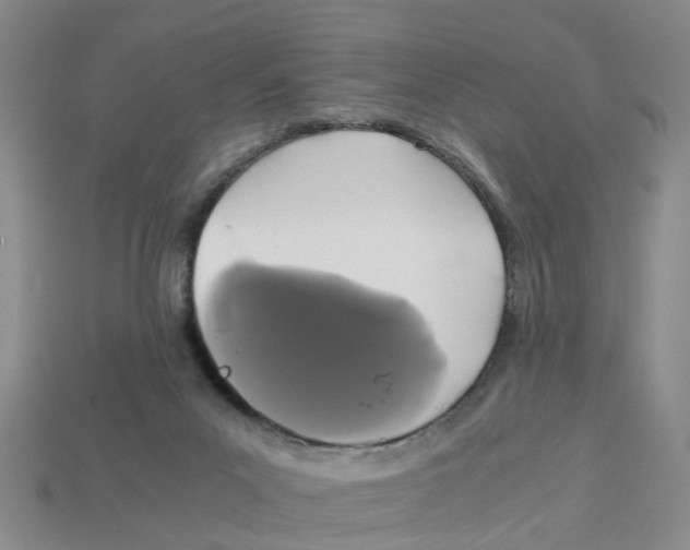 X0000113170023200910021532