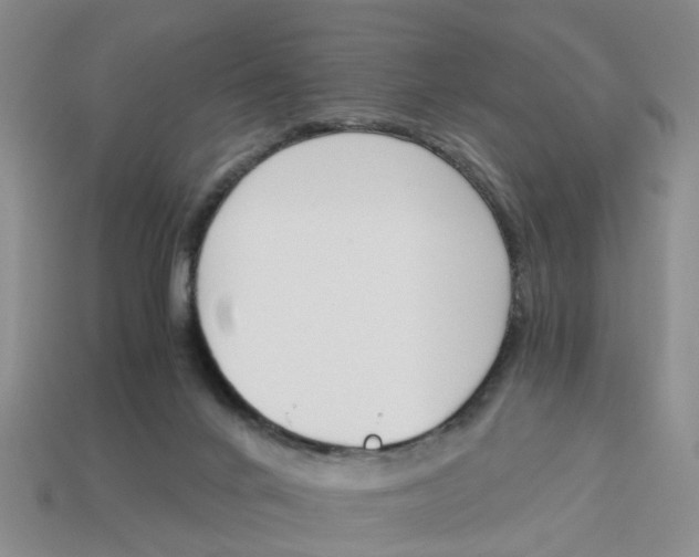 X0000113170024200910021532