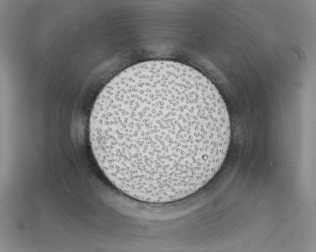 X0000113170026200910021532