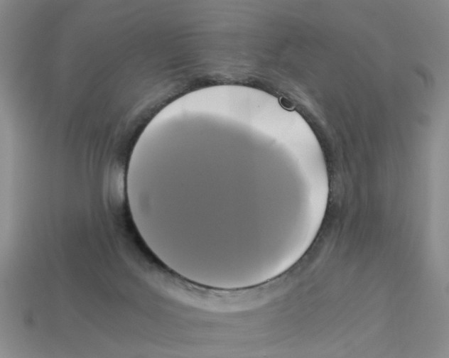X0000113170027200910021532