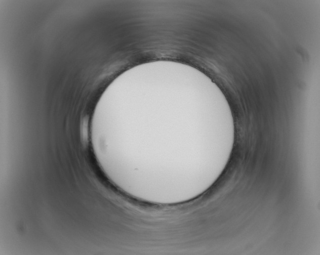 X0000113170028200910021531
