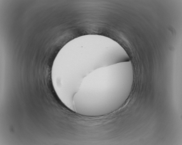 X0000113170029200910021531