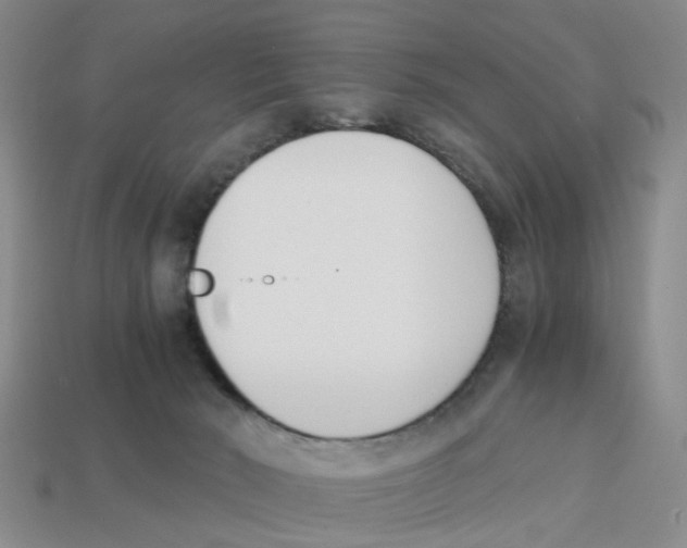 X0000113170030200910021531