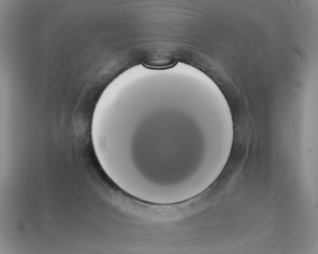 X0000113170031200910021531
