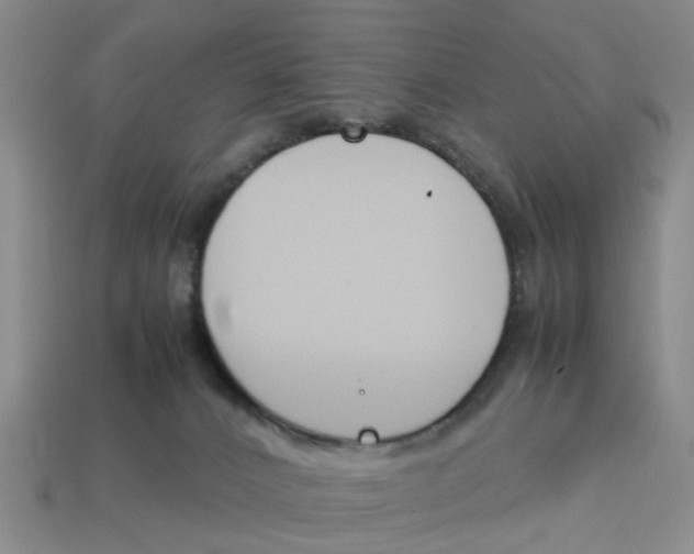 X0000113170032200910021531