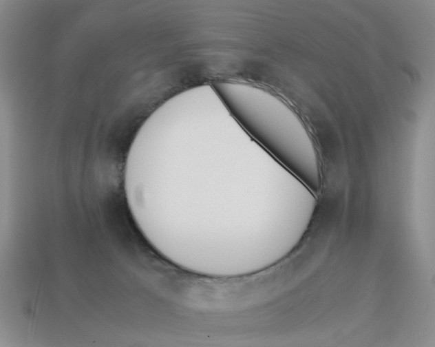 X0000113170033200910021531