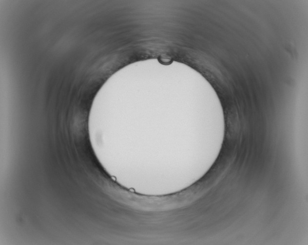 X0000113170034200910021531